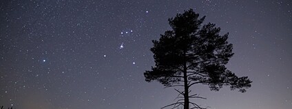Noční obloha se souhvězdím Orion Foto: Depositphotos